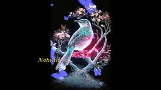 Lirik Bukti  Cinta  penyanyi Ahkam