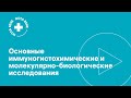 Основные иммуногистохимические и молекулярно-биологические исследования