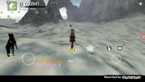 Wolf online gameplay part 2..?