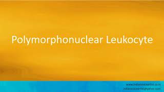 Pronunciation of the word(s) Polymorphonuclear Leukocyte.