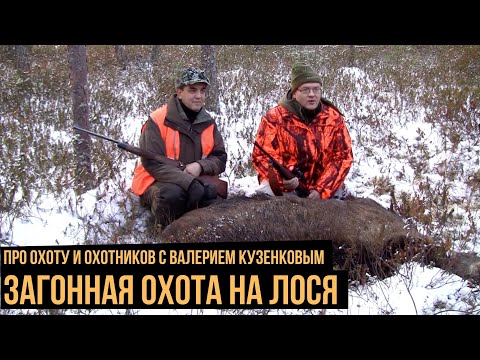 Загонная охота на лося / Про охоту и охотников с Валерием Кузенковым. Сезон 1