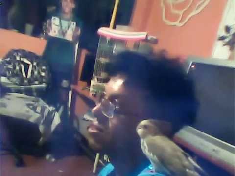 galopicita daora gosta de faser carinho na soreia