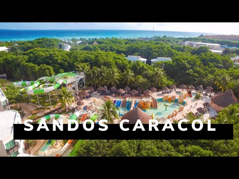Video: Zabavujú Alkohol Cancun Playa Del Carmen