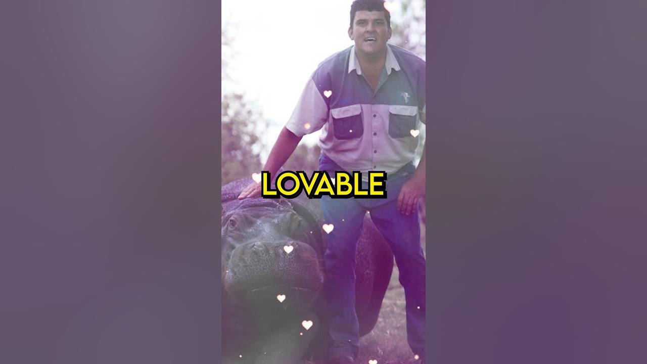 Marius Els: The Man who Adopted a Baby Hippo! #facts #animals #shorts