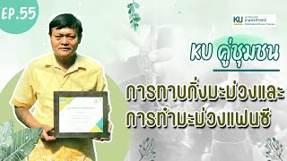 KU คู่ชุมชน : Ep.55 การทาบกิ่งและทำมะม่วงแฟนซี