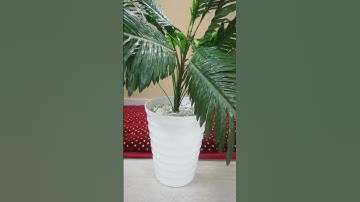 تلاوة خاشعة / عبدالهادي كناكري