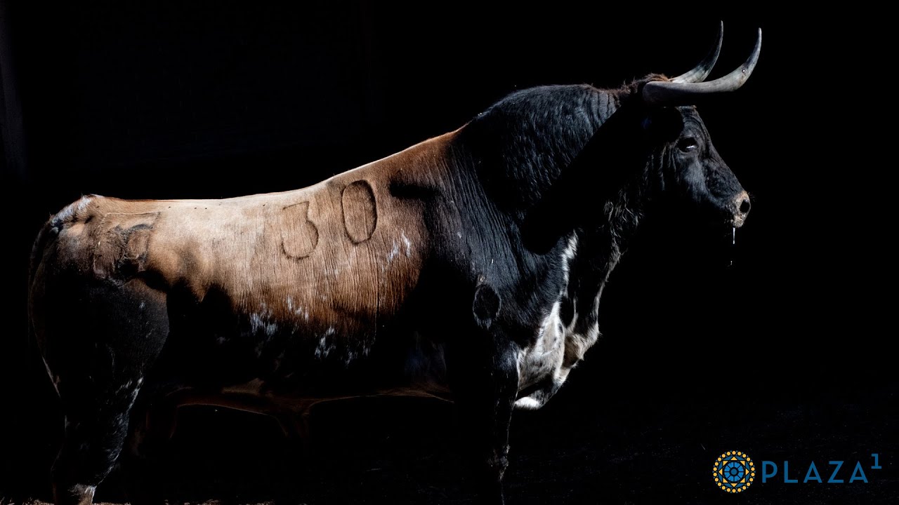 SORTEO | Toros de Dolores Aguirre y Sobral, desafío ganadero