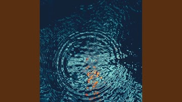 Mind-blowing Music for Calming Keynotes