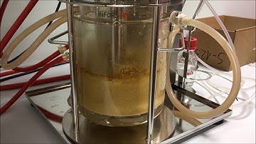 Submerged-Solid-Substrate Fermentation of Sugarcane Bagasse