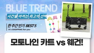 짜릿한 질주! 모토나인 전동 카트  캠핑 웨건 비교 체험!