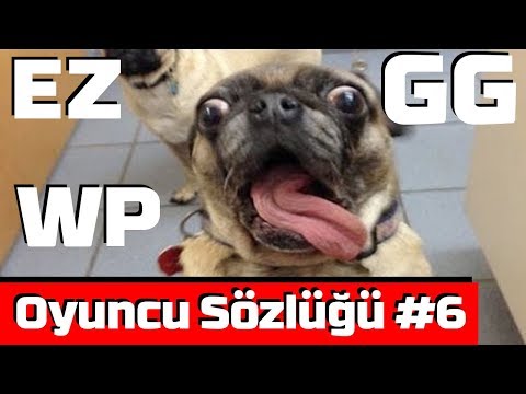 GG EZ WP Nedir? - Oyuncu Sözlüğü #6 (Kampanyalı)