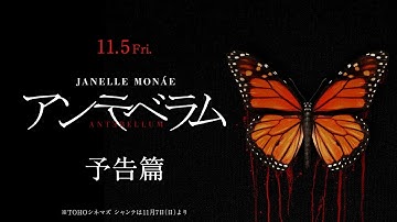 11/5（金）公開！『アンテベラム』予告篇