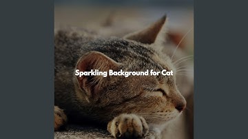 Lonely Open Work Floors