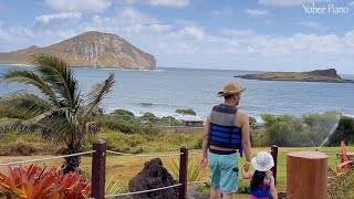 Sea Life Park - Meet Dolphins in Hawaii by Yobee Piano 105 views 9 months ago 4 minutes, 20 seconds