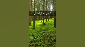 تلاوة قصيرة وجميلة للشيخ: عصام العامري