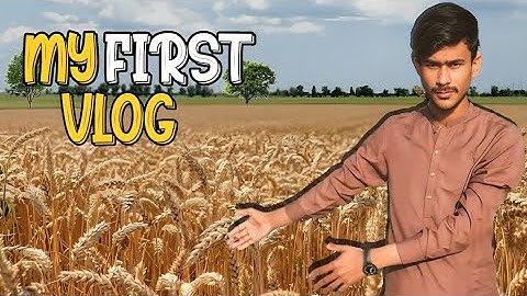My First Vlog | My First Vlog Video 2024 | Sehran Saqi Official