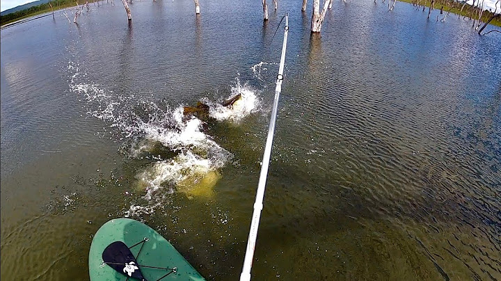 INSANE FISHING