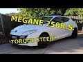 Pros and Cons of Owning a Renault Megane 250 R.S. - Review