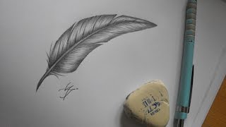 Drawing a feather (timelapse)