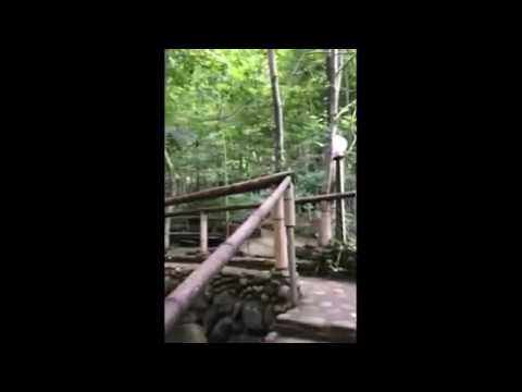 რესტორანი თხილნარი