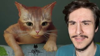 KEDİ OLMA OYUNU (Stray)