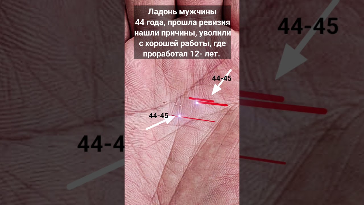 Уволили с работы в 44- года. 