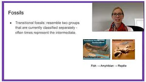 7.6 Evidence of Evolution & 7.7 Common Ancestry