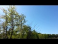 A Bald Eagle Taking a Yellow Perch out of the Water on the Raquette River