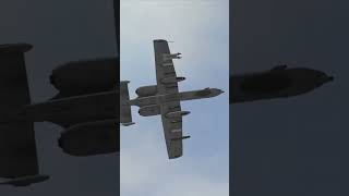 Kiedy A-10 nadlatuje, wszystko się kończy #shortsvideo #shorts  #a10 #warthog #airstrike