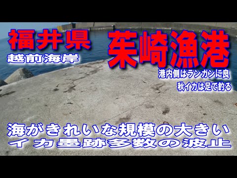 #88福井県茱崎漁港福井県福井市蒲生町海がきれいな規模の大きいイカ墨跡多数の波止越前岬海藻多数秋イカ多数港内側をランガンに良し秋イカは足で釣る整備された素敵な漁港ファミリー家族連れサビキ釣りに良い