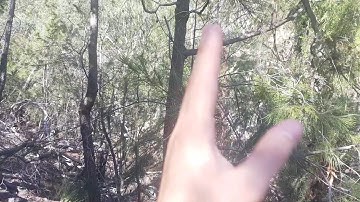 Low visibility navigation