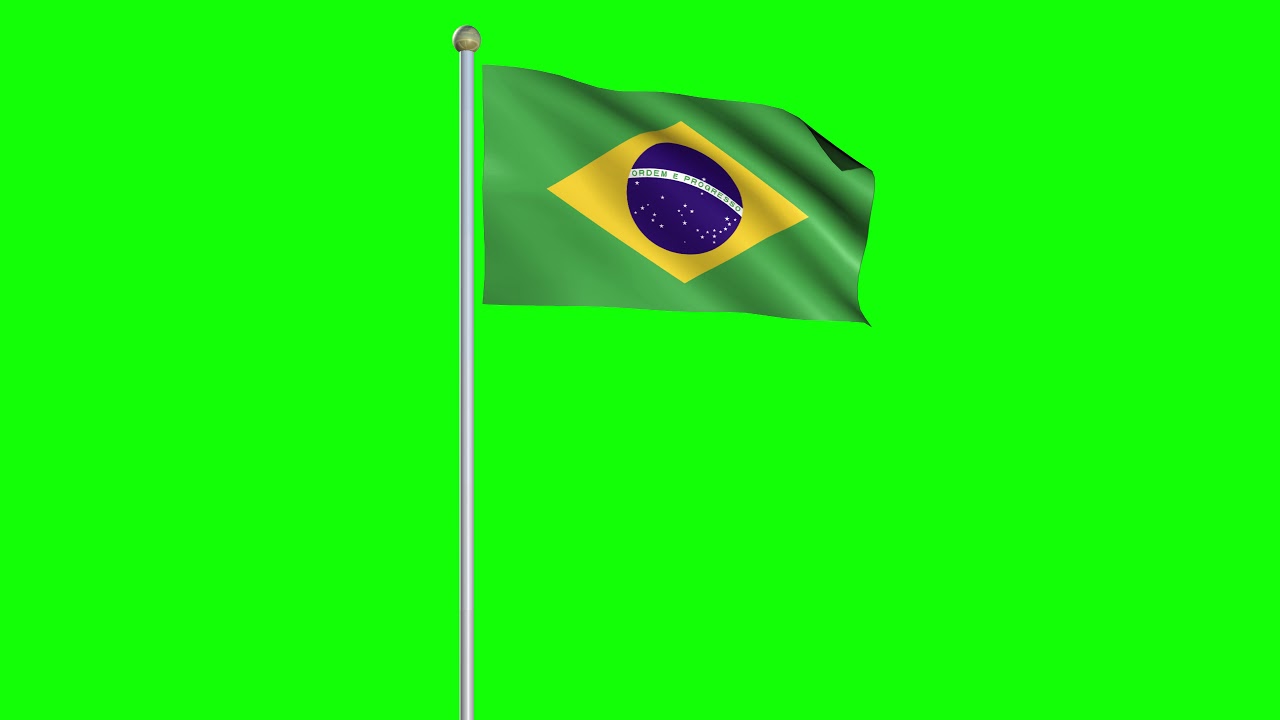 GreenScreen Brasil