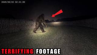 10 Most DISTURBING Bigfoot Encounters Caught On Camera | Scary Comp. V317