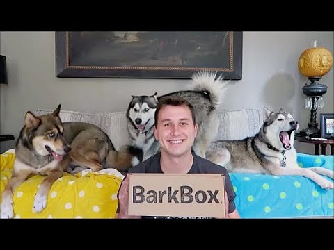 barkbox-unboxing-|-may-2017