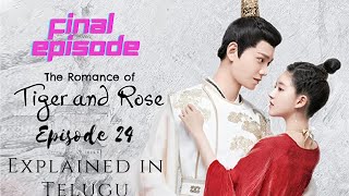 The Romance of Tiger and Rose Episode 24 Explained in Telugu