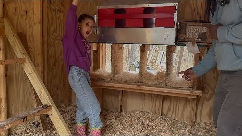 Easy DIY Nesting Box Made From Scrap Wood