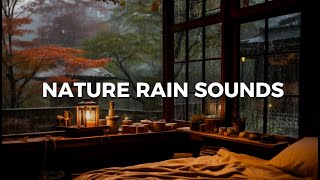 SOOTHING RAIN SOUND  in the forest makes you  sleep well | Goodbye insomnia with rain ☔