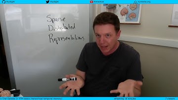 AI / Neuroscience Chat Episode 2: Basics of sparse distributed representations