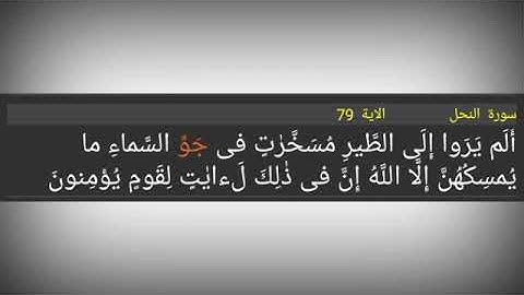 سورة النحل ./ الآية 79 ./ أَلَم يَرَوا إِلَى الطَّيرِ مُسَخَّرٰتٍ فى جَوِّ السَّماءِ ما يُمسِكُهُنَّ