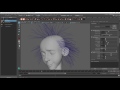 Ornatrix Maya: Hair parts dynamics