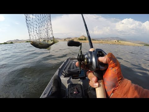 Shimano Curado DC (On the water REVIEW and catching fish) 