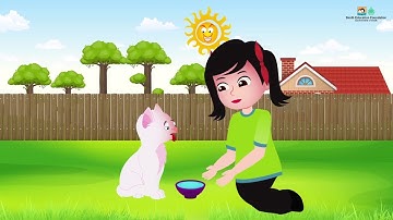 Importance of Animals I Grade 1 Unit 5 Lesson 3