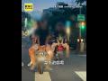 行徑囂張！少年違規騎電動車 後座「三貼」還反坐