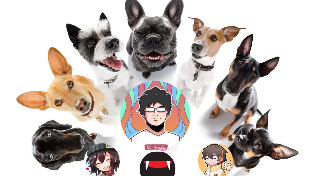 原田を囲む会【スイーツプッシャーフレンズ】#品行崩壊