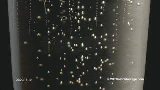 Champagne bubbles SF0320