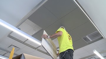 Keeping Peace at the Office:  How Acoustical Ceilings Reduce Noise in Style