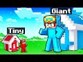 Nico vs Cash TINY & GIANT HOUSE Battle In Minecraft!