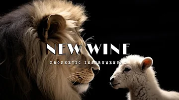 Prophetic Worship Music - New Wine Intercession Prayer Instrumental | Roy Fields