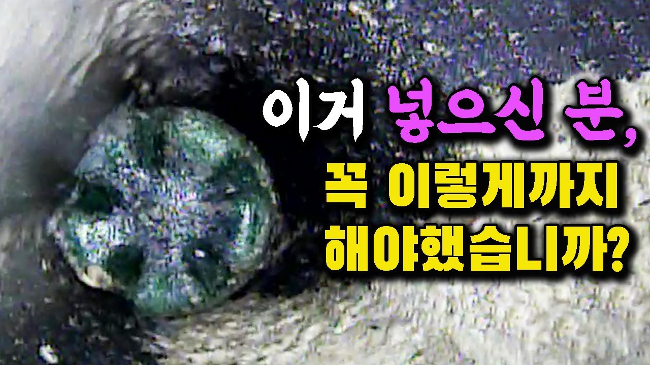 하수구에 이런게 들어있을 줄은 상상도 못했습니다. 범인...누구냐 넌..?