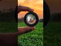 How to blend image with background #easydesign #canvatutorial #imageblender ##ytshorts